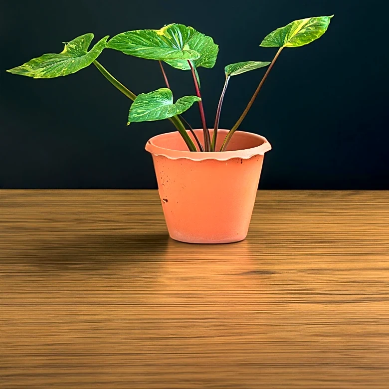 Phillip Shore's Exhibition 'Forging Ahead' Explores Human-Nature Relationship