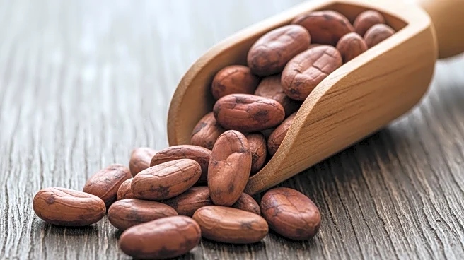 Falling Cocoa Prices Offer Temporary Advantage to Small Chocolate Brands