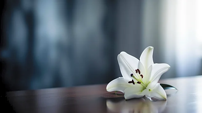 James Van Der Beek Passes Away at 48 After Battling Cancer