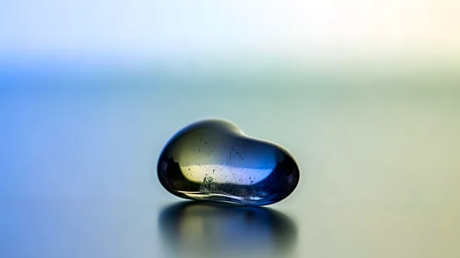 Bijou Phillips Seeks Kidney Donor Amid Health Crisis