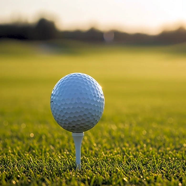 Canadian Golfer Sudarshan Yellamaraju Joins Team ADP, Expanding Global Roster