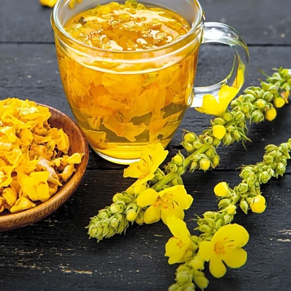 Wellness Influencers Promote Mullein Leaf as Lung Cleanse, Experts Warn of Health Risks