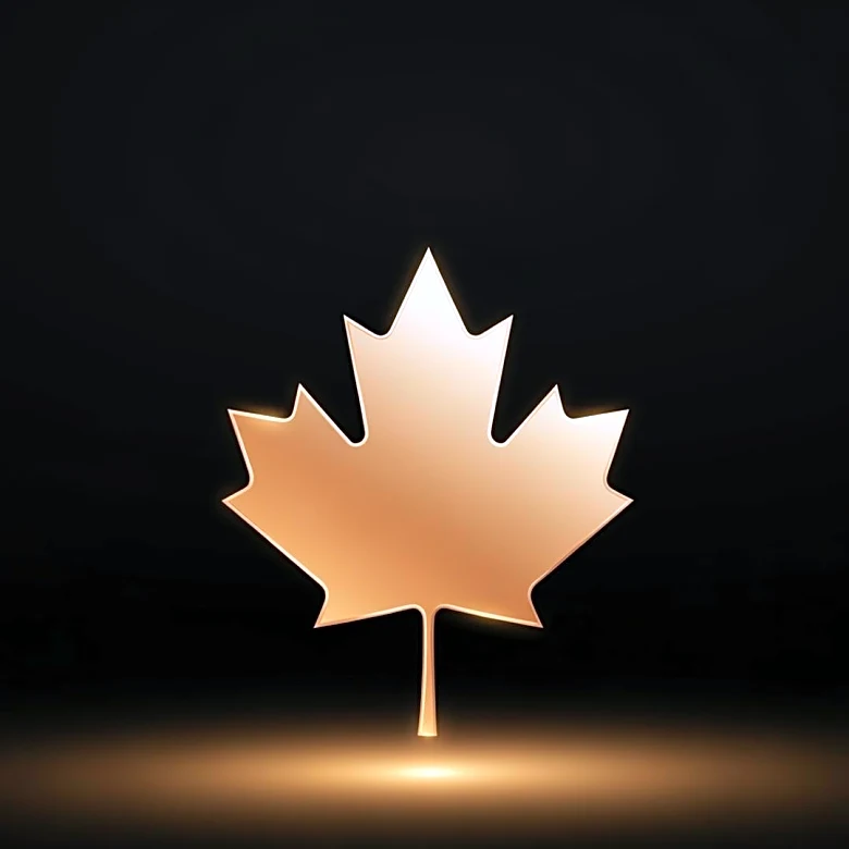 McDonald's and Drake's OVO Announce Upcoming Collaboration in Canada