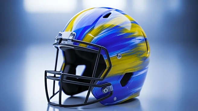 Olympic Committee Bans Ukrainian Athlete Over Helmet Tribute, Sparking Global Disappointment