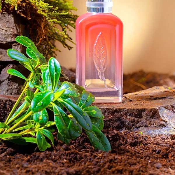 Fragrance Vault in Lake Tahoe Preserves Rare Perfumes for Memory and History