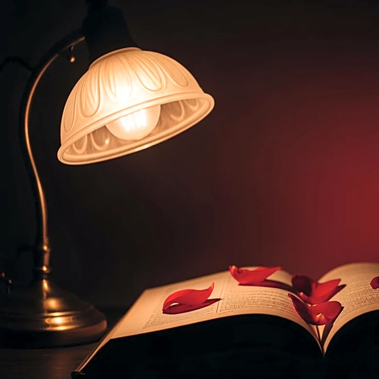 Netflix to Adapt Popular Dark Romance Novel 'Lights Out' into TV Series