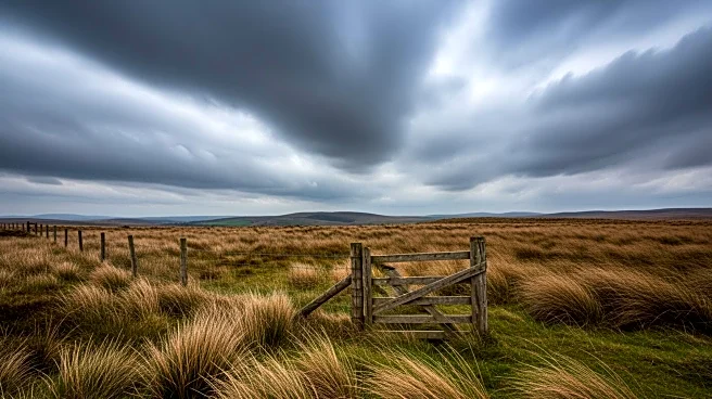 New 'Wuthering Heights' Film Offers a Passionate and Intense Adaptation