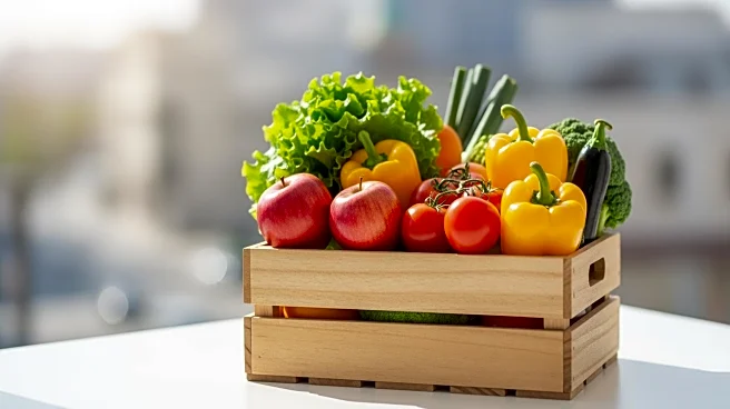 Polymarket Launches Free Grocery Store in New York Amid Rising Food Prices