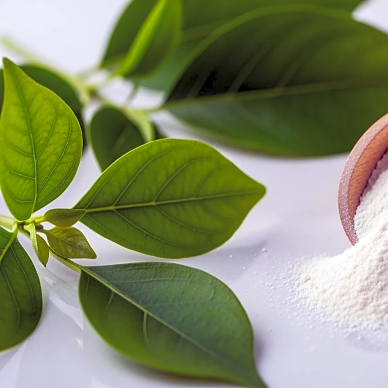 Nutraceutical Excipients Market Projected to Reach $5.2 Billion by 2035 Amidst Clean-Label and Personalized Nutrition Trends