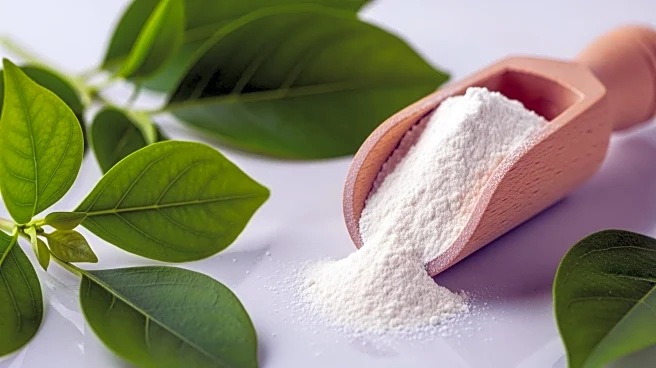 Nutraceutical Excipients Market Projected to Reach $5.2 Billion by 2035 Amidst Clean-Label and Personalized Nutrition Trends