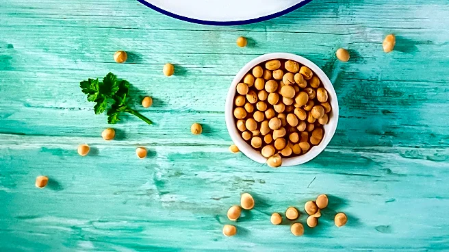 Tofu-Based Cat Litter Gains Popularity for Health and Environmental Benefits