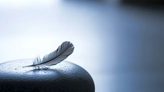 Arundhati Roy Withdraws from Berlinale Over Jury's Gaza Comments