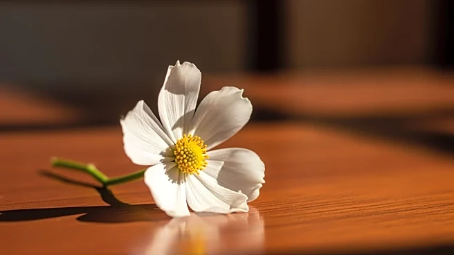 Flowers Foods Reports $136 Million Impairment Amid Portfolio Review