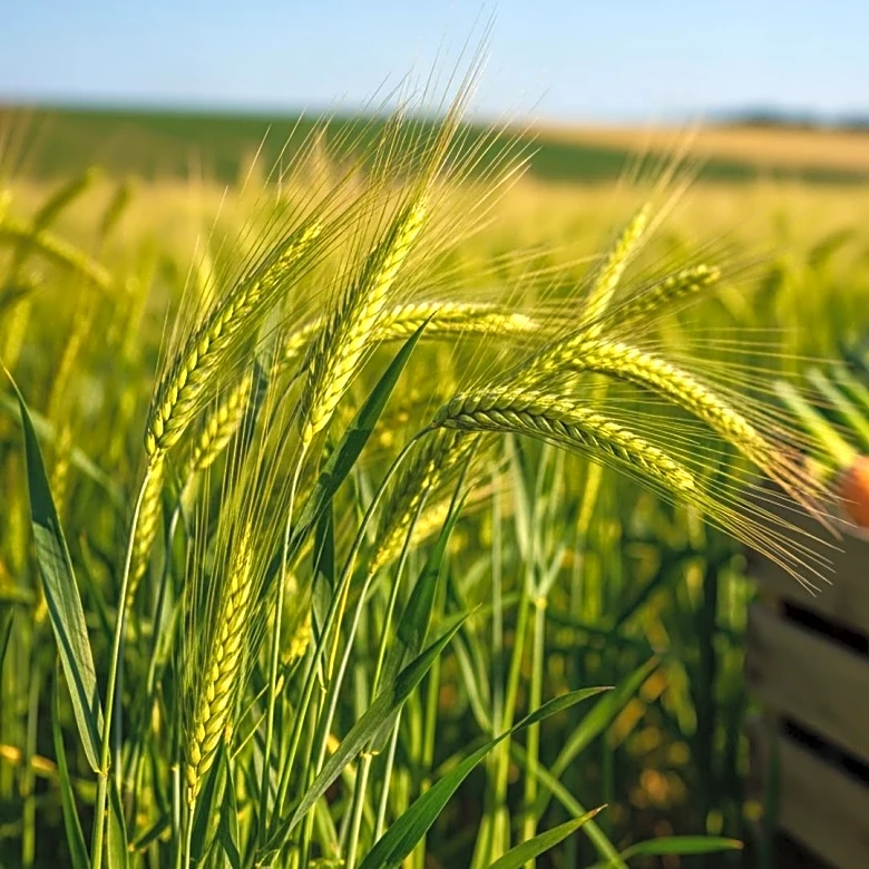 Michigan Agriculture Advancement Promotes Conservation and Niche Markets