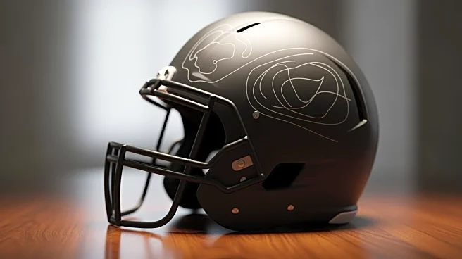 Court of Arbitration for Sport Upholds Ban on Ukrainian Skeleton Racer's 'Helmet of Memory'