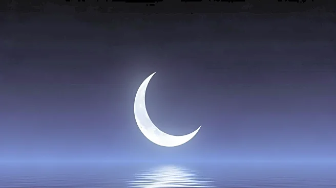 Film Republic Acquires International Rights to Isabel Sandoval's 'Moonglow'