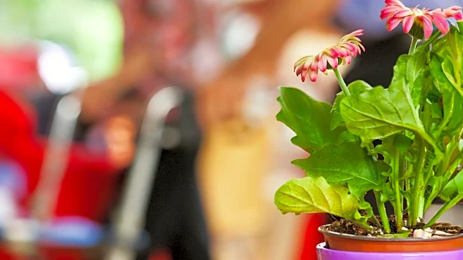 Denver Senior Living Facility Celebrates Valentine's Day with Concert