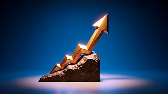 Arab Palestinian Investment Company Reports Record Sales and Net Income Growth Amid Challenges