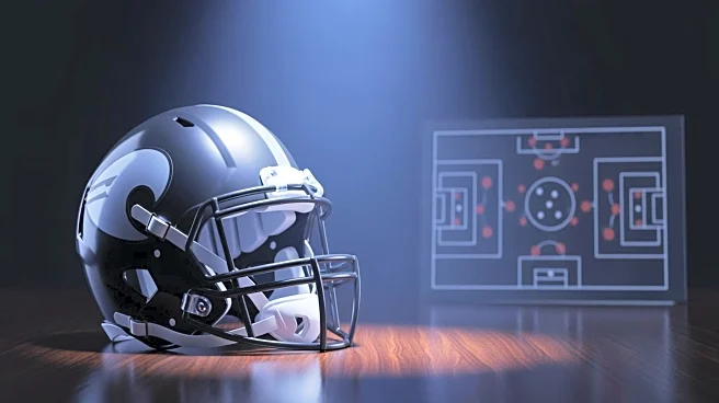 Rob Leonard Appointed as Las Vegas Raiders Defensive Coordinator, Aims to Enhance Team's Defense