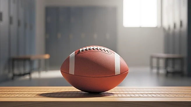 Steelers' Derrick Harmon: Unnoteworthy Rookie Campaign and Future Prospects