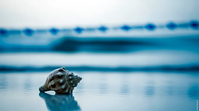 Amy Adams Expresses Pride Despite Missing Berlin Film Festival Premiere of 'At the Sea'