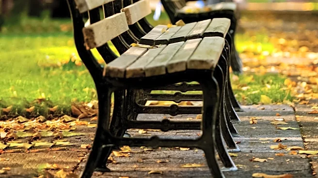 Bristol's Bench Placement Sparks Debate on Civic Kindness and Urban Planning