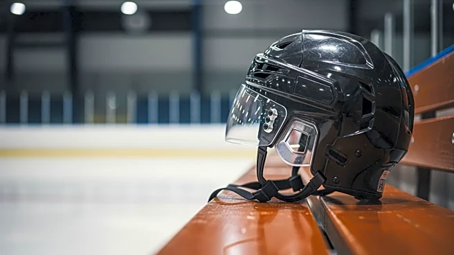 Vincent Desharnais Mic'd Up During Sharks Game Against Rangers