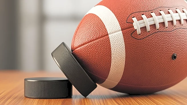 Michael Schofield, Former NFL Player, Supports Wife Kendall Coyne Schofield in Olympic Pursuits