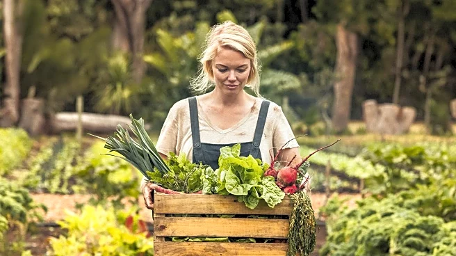 Understanding Farm Shares: A Guide to Community Supported Agriculture