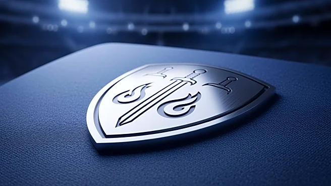 Tennessee Titans Face Mixed Reactions Over New Logo Leak