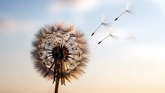 Ella Langley Releases New Song 'Be Her' Ahead of Sold-Out 'Dandelion Tour'