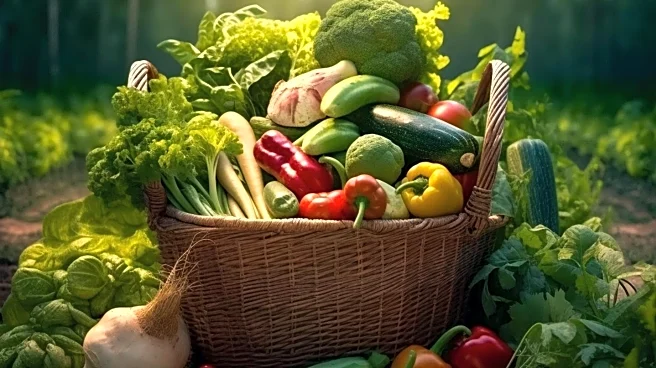 Understanding Farm Shares: A Look at Community Supported Agriculture in Minnesota