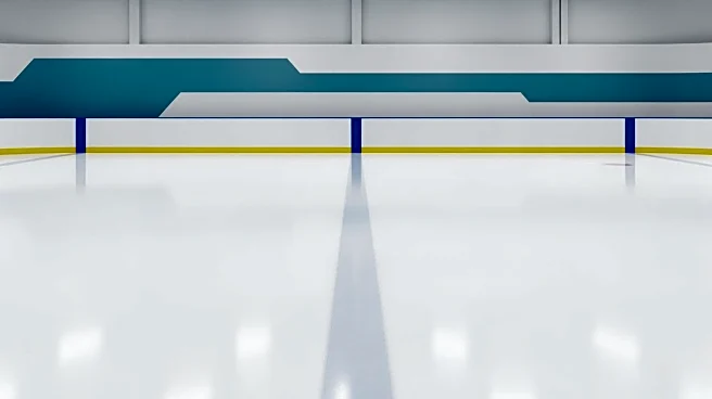 Olympic Hockey Arena Adjusts Board Colors Following Player Feedback