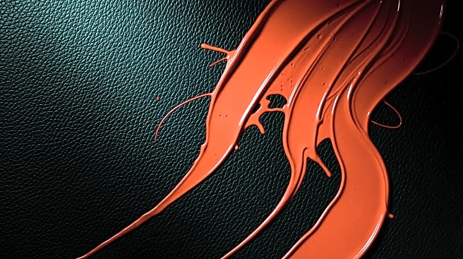 Desigual and Masha Popova Collaborate to Reinterpret Brand's DNA with Rebellion and Sensuality