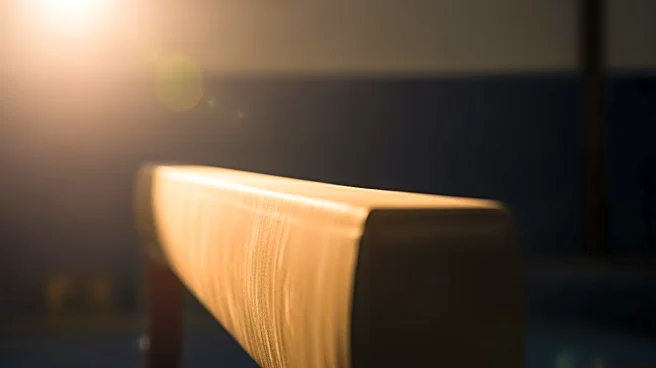 Simone Biles Supports Ilia Malinin After Olympic Struggles, Emphasizes Understanding