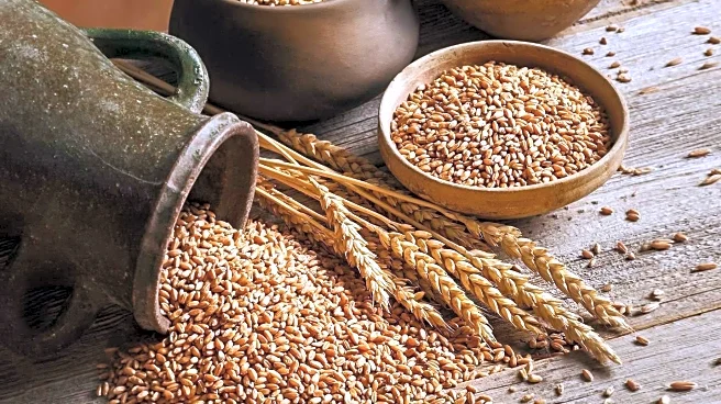 Dietitian Highlights Whole Grains as Key to Weight Loss and Health Benefits