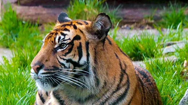 Engage! Cleveland Hosts Women's Leadership Conference at Cleveland Metropark Zoo