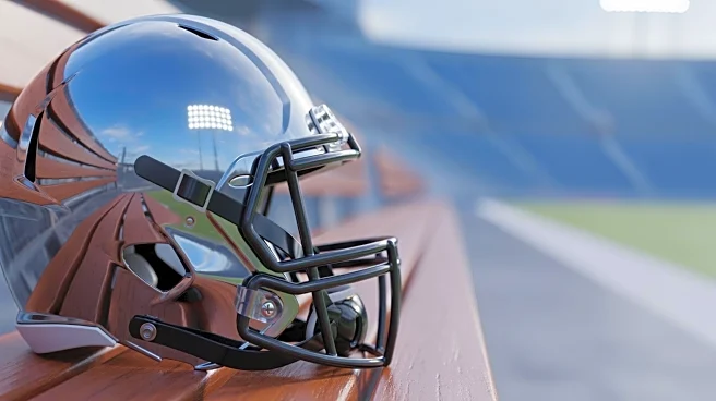 Mike Evans to Continue NFL Career in 2026 Amid Uncertain Future with Buccaneers