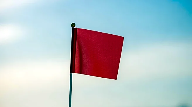 Zendaya Discusses Relationship 'Red Flags' Following Engagement to Tom Holland