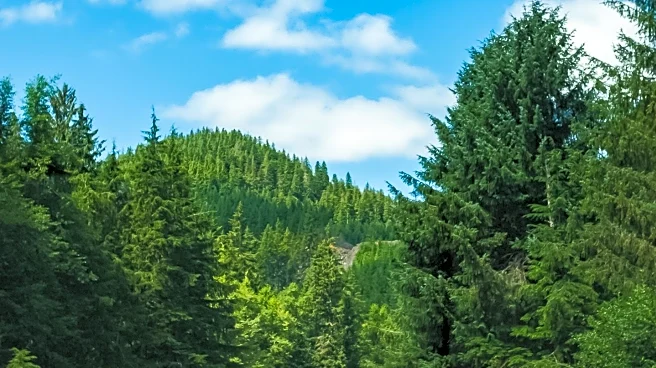 Self-Guided 'Twin Peaks' Tour Highlights Iconic Snoqualmie Valley Locations