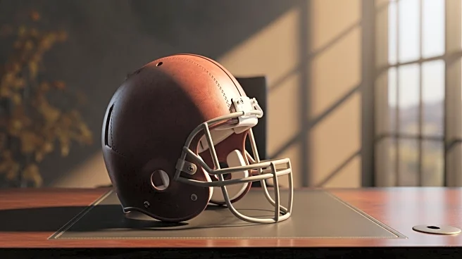 Chicago Bears Organization Undergoes Leadership Changes Following Matriarch's Passing