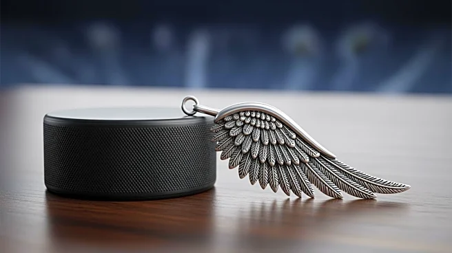 Pittsburgh Penguins to Host 'Fourth Wing' Night Celebrating Fantasy Novel Series