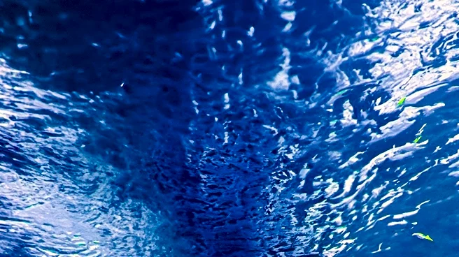 University of Hawaiʻi Art Exhibit Highlights Water's Role in Self-Determination from Lahaina to Lebanon