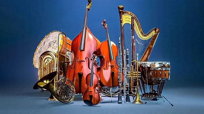 Evansville Philharmonic Announces Winners of 70th Annual Young Artist Competition