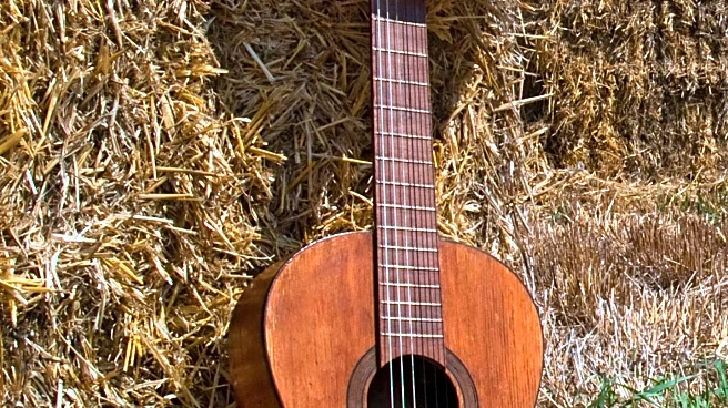 Gold House and Stetson Collaborate on 'Year of the Horse' Cowboy Hat