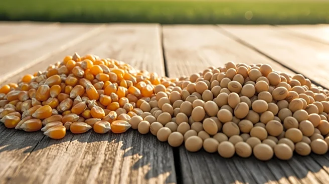 USDA Projects Decrease in Corn Acres and Increase in Soybeans for 2026