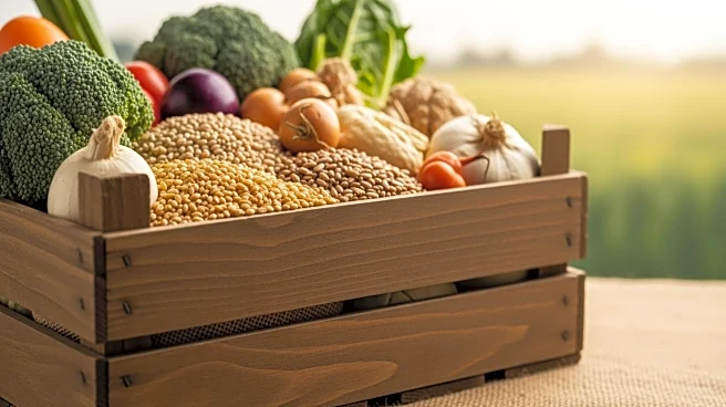 USDA Agricultural Outlook Forum Highlights Tighter Supplies and Market Pressures