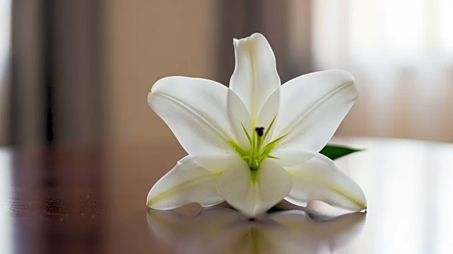 Eric Dane, 'Grey's Anatomy' Star and ALS Advocate, Passes Away at 53