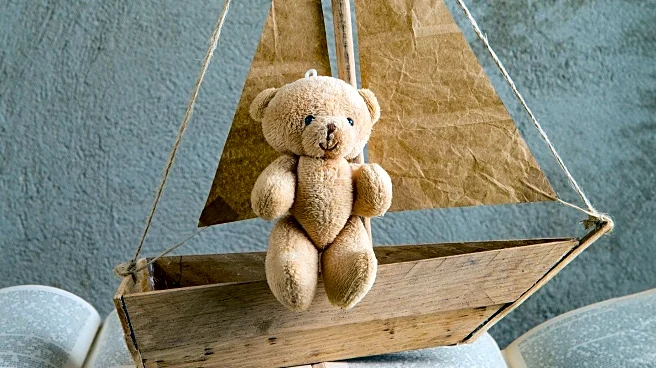 Children's Literature Sees a Surge in Melville-Inspired Works