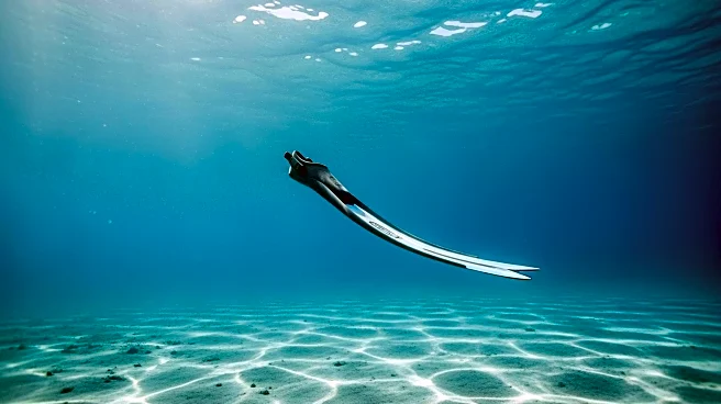 Grant Gustin and Cast to Star in Indie Film 'God of Tides' Exploring Freediving and Personal Redemption